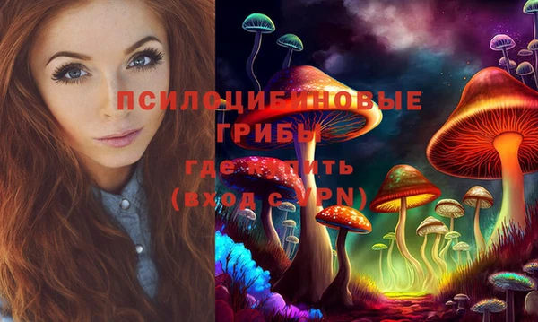 твердый Абинск