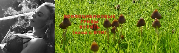 стаф Нязепетровск