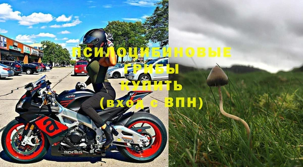 стафф Абдулино